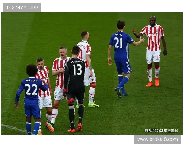 如何利用k8体育平台app进行赛事数据分析，提升您的体育竞猜胜率